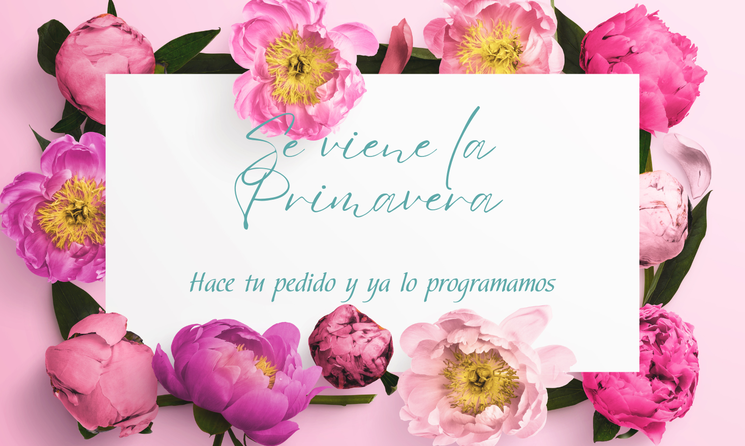 Copia de Servicios Integrales en Comercio Exterior (1366 × 968 px) (1366 × 878 px) (1466 × 878 px) (3)